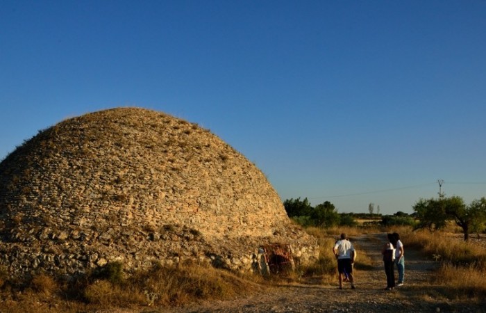 patrimonio