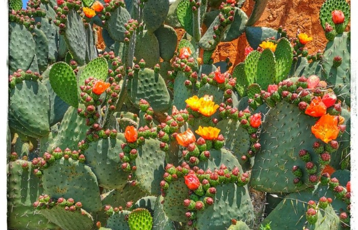 Pueblos Colindantes