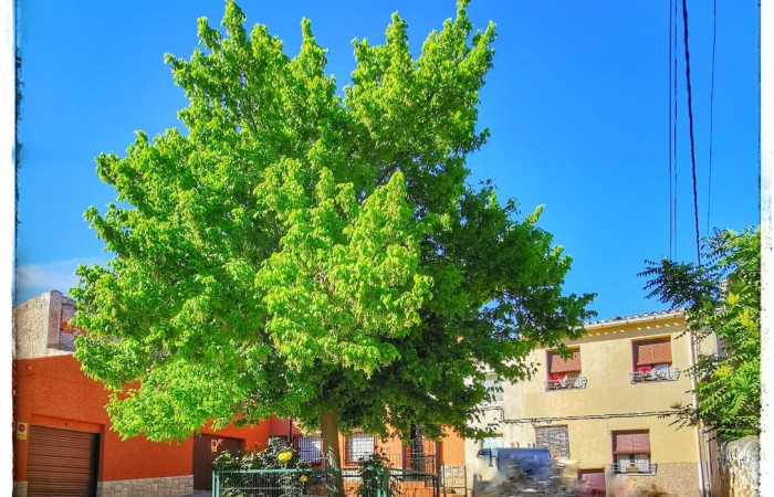 EL PUEBLO Y SU PAISAJE